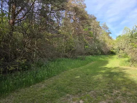 1138 N Thornapple Ave, White Cloud, MI 49349 photo 5