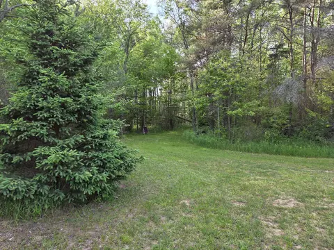 1138 N Thornapple Ave, White Cloud, MI 49349 photo 2