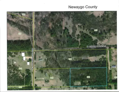 1138 N Thornapple Ave, White Cloud, MI 49349