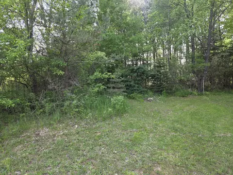 1138 N Thornapple Ave, White Cloud, MI 49349 photo 3