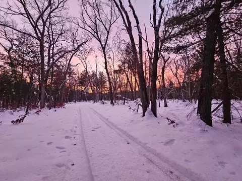V/l 168th Avenue, Hesperia, MI 49421