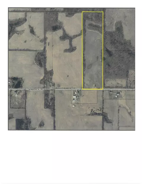 6700 Tamarack Rd, Osseo, MI 49266