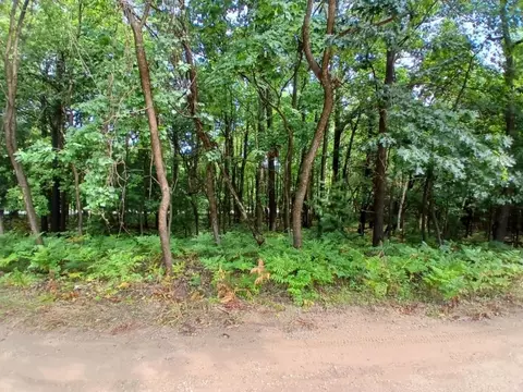 Ridge Road, Mears, MI 49436 photo 5