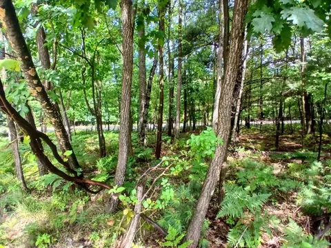 Ridge Road, Mears, MI 49436 photo 8