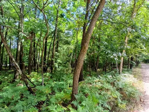 Ridge Road, Mears, MI 49436 photo 6
