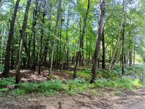 Ridge Road, Mears, MI 49436 photo 2