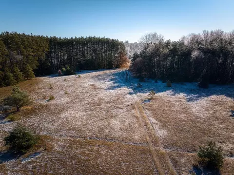 10836 30th Ave, Evart, MI 49631