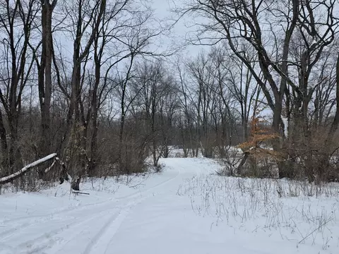 2 Mile Rd, Evart, MI 49631 photo 19