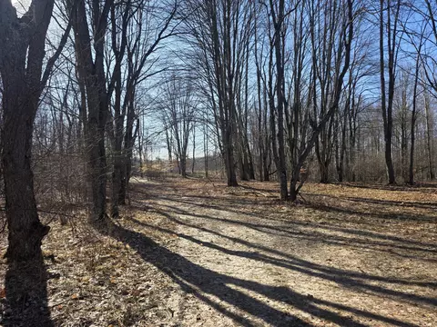 2 Mile Rd, Evart, MI 49631 photo 3