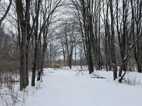 2 Mile Rd, Evart, MI 49631 photo 18