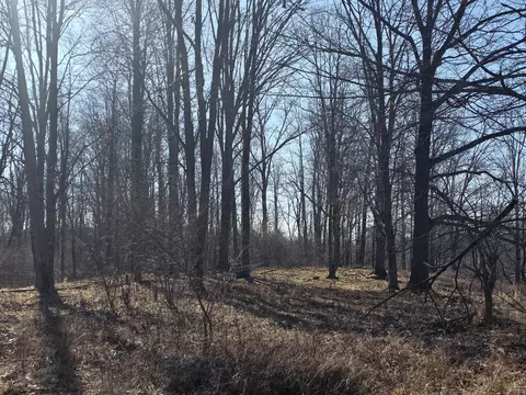 2 Mile Rd, Evart, MI 49631 photo 9
