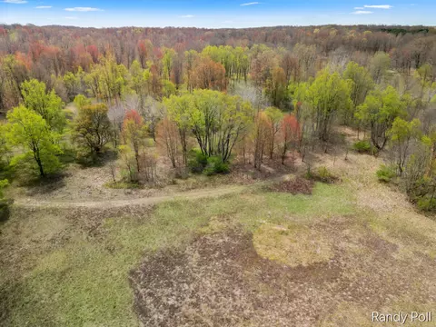 2 Mile Rd, Evart, MI 49631 photo 8