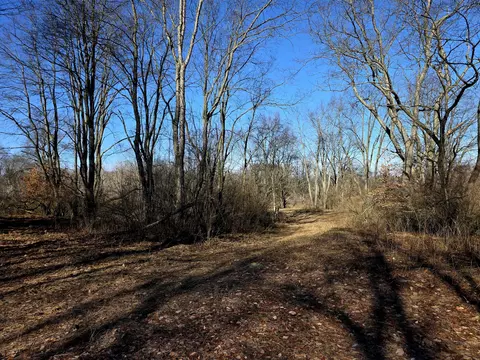 2 Mile Rd, Evart, MI 49631 photo 4