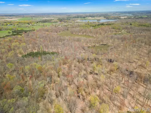 2 Mile Rd, Evart, MI 49631 photo 11