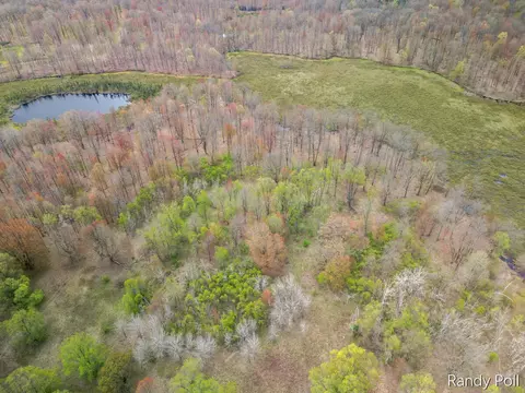 2 Mile Rd, Evart, MI 49631
