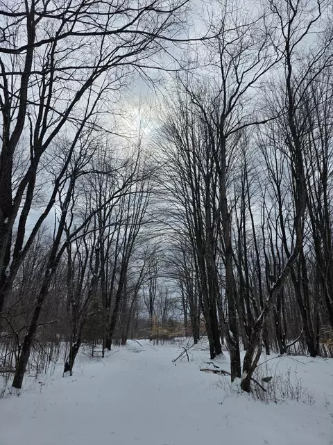 2 Mile Rd, Evart, MI 49631 photo 20