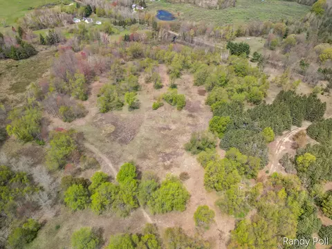 2 Mile Rd, Evart, MI 49631 photo 12