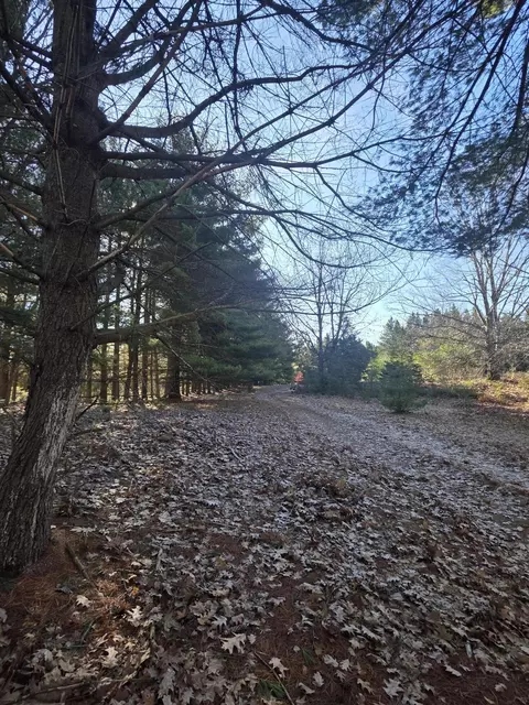 2 Mile Rd, Evart, MI 49631 photo 10