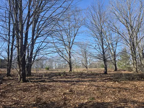 2 Mile Rd, Evart, MI 49631 photo 2