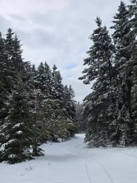 2 Mile Rd, Evart, MI 49631 photo 17
