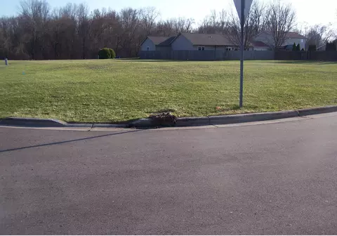 9 Lynn Ct, Coldwater, MI 49036