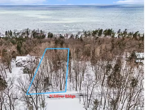 lot11 Silver Ridge Rd, Mears, MI 49436