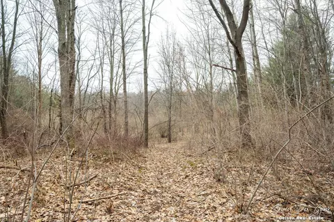 Exterior - 5856 Kiddville Rd, Belding, MI 48809 photo 10 of 11