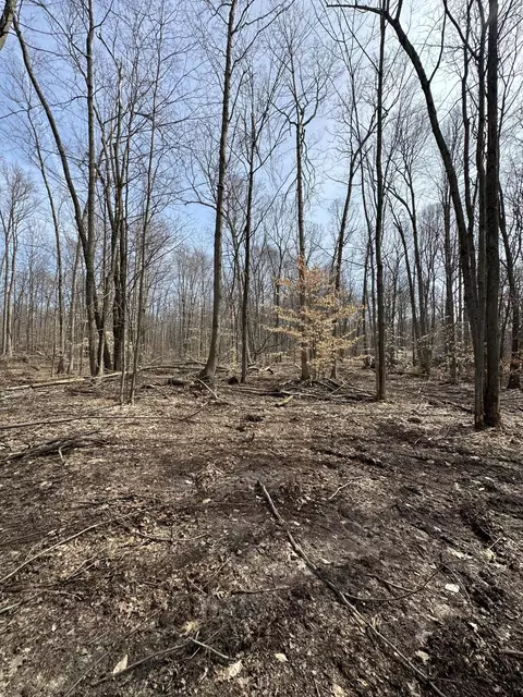 Vl Lake Drive, Allegan, MI 49010