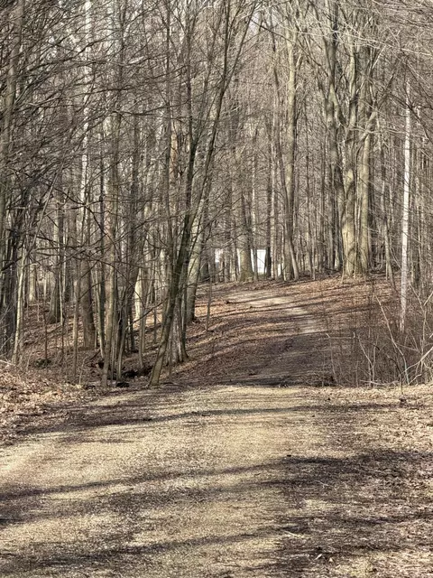 V/l 38th Street, Gobles, MI 49055