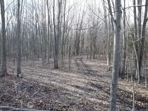 Vl E Dodge Rd, Clio, MI 48420 photo 14