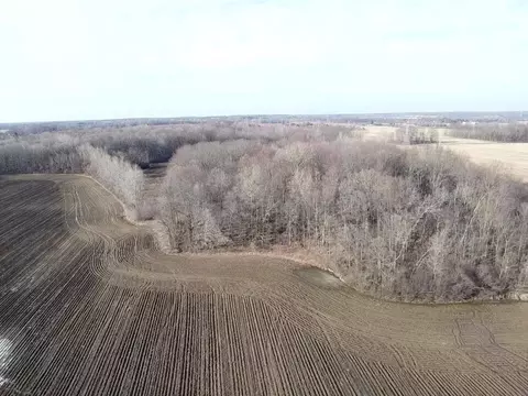 Vl E Dodge Rd, Clio, MI 48420 photo 7