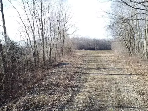 Vl E Dodge Rd, Clio, MI 48420 photo 9