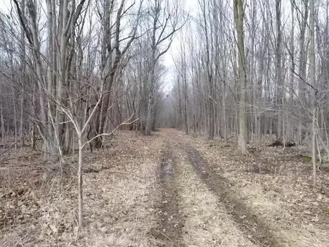 Vl E Dodge Rd, Clio, MI 48420 photo 22