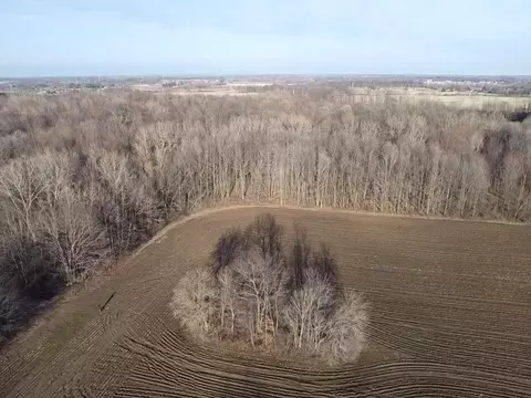 Vl E Dodge Rd, Clio, MI 48420 photo 6