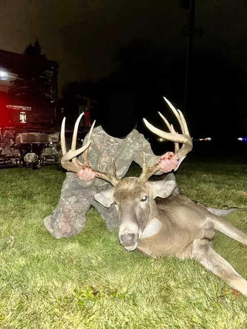Vl E Dodge Rd, Clio, MI 48420 photo 36