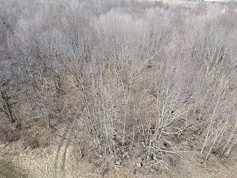 Vl E Dodge Rd, Clio, MI 48420 photo 21