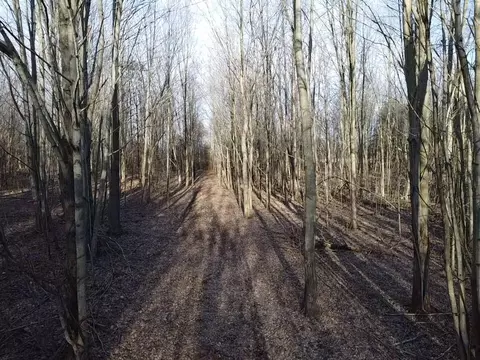 Vl E Dodge Rd, Clio, MI 48420 photo 17