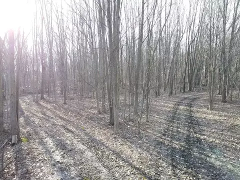 Vl E Dodge Rd, Clio, MI 48420 photo 15