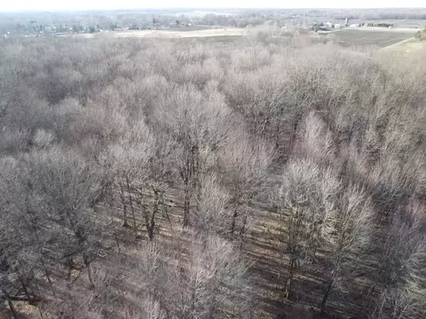Vl E Dodge Rd, Clio, MI 48420 photo 12