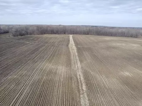 Vl E Dodge Rd, Clio, MI 48420 photo 3