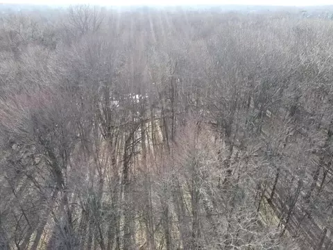 Vl E Dodge Rd, Clio, MI 48420 photo 13