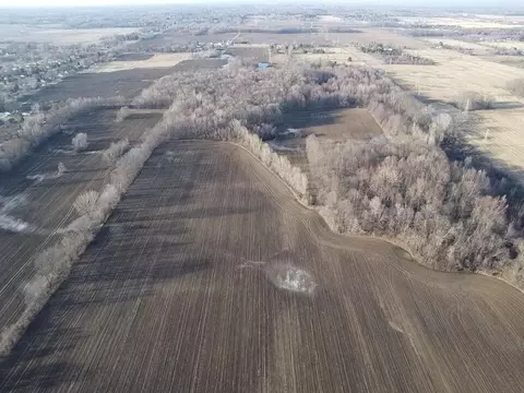 Vl E Dodge Rd, Clio, MI 48420 photo 34