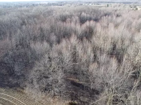 Vl E Dodge Rd, Clio, MI 48420 photo 11