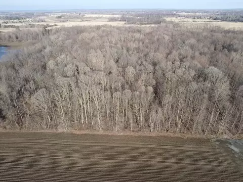 Vl E Dodge Rd, Clio, MI 48420 photo 4