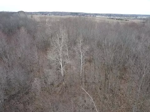 Vl E Dodge Rd, Clio, MI 48420 photo 24