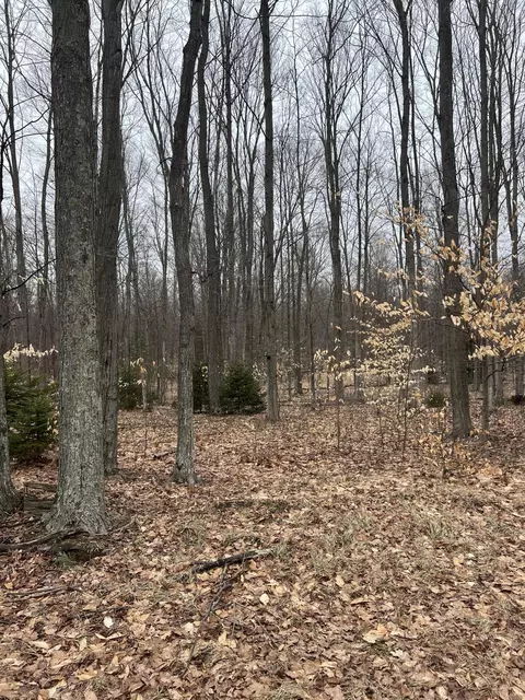 N Dennis Road, Ludington, MI 49431