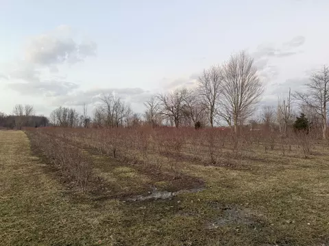 73122 36th Ave, Covert, MI 49043