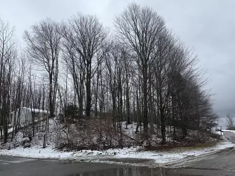 W Snead Drive, Ludington, MI 49431