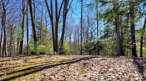 947 W Locust St, White Cloud, MI 49349 photo 19