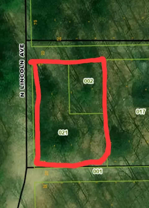 947 W Locust St, White Cloud, MI 49349 photo 2